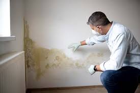  , USA Mold Removal Pros